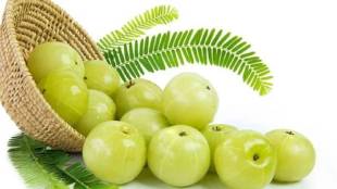 8 amla recipes to boost your immunity in marathi