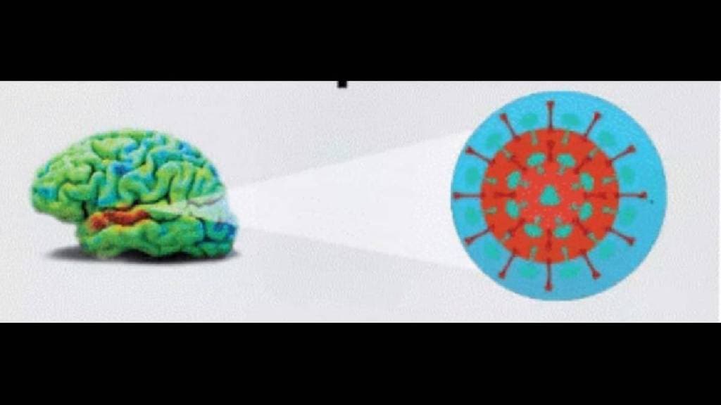 'AES' eight patients found in Nagpur,