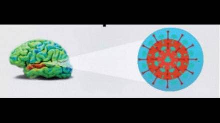 'AES' eight patients found in Nagpur, 'AES' eight patients found in Nagpur,