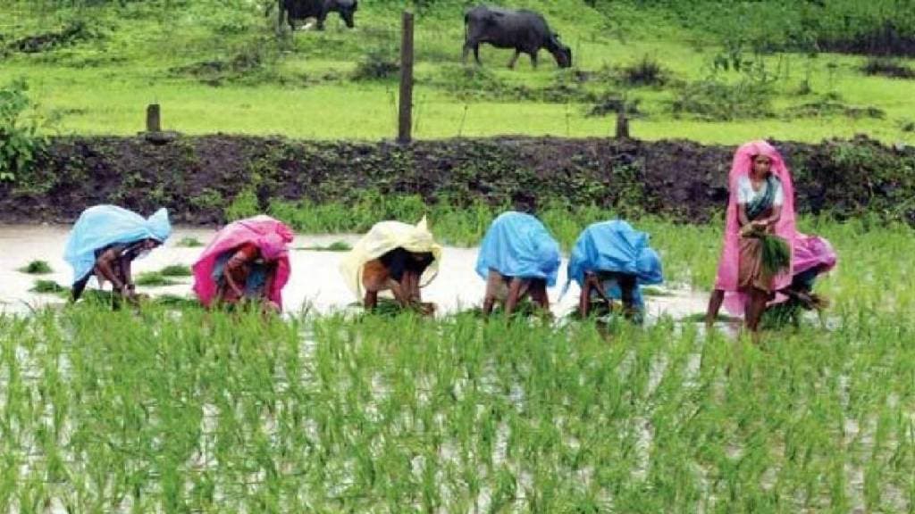 Agristack scheme has been stalled in Shrivardhan