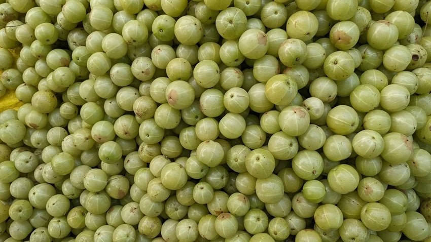 how amla can harm your hair