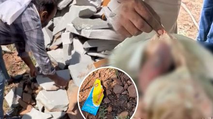 Baby dumped among stones Rajasthan