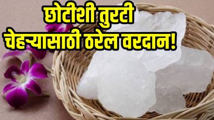 Benefits Of Turti For Skin