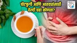 फक्त ३ पदार्थ घालून बनवा पोटफुगी आणि आतड्यांसाठी हेल्दी चहा; पण सगळ्यांना फायदा होतो का? तज्ज्ञांनी मांडले मत
