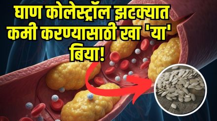 Pumpkin seeds for cholesterol