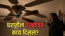 सावधान! घरातील पंखा सुरू करण्याआधी एकदा छतावर नक्की पाहा, पंख्यावरील धक्कादायक प्रकाराचा VIDEO पाहून सर्वांनाच भरेल धडकी