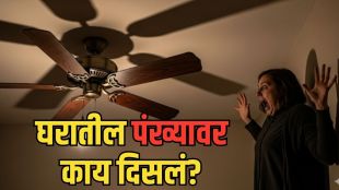 Cobras on Fan
