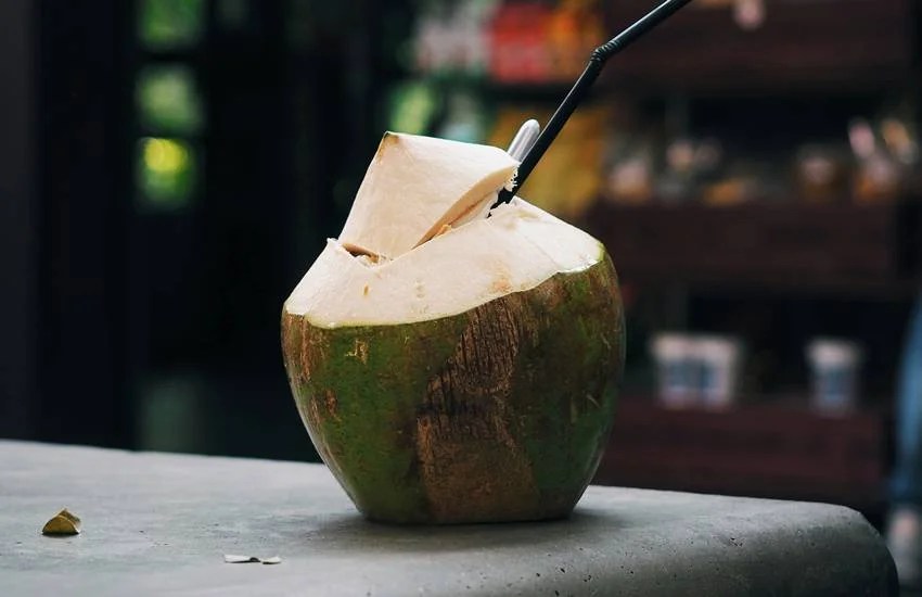 should drink coconut water directly right way to consume it