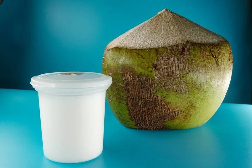 should drink coconut water directly right way to consume it