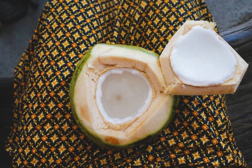 should drink coconut water directly right way to consume it