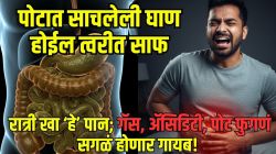 तुमच्या पोटातली सगळी घाण झटक्यात बाहेर पडेल; झोपण्याआधी फक्त ‘हे’ एक पान चावून खा; आतड्यांत सडणारी घाण होईल साफ!