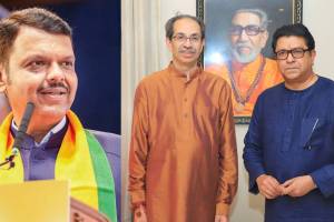 What Devendra Fadnavis Said?