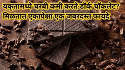यकृतामध्ये साचलेली चरबी कमी करते डॉर्क चॉकलेट? मिळतात एकापेक्षा एक जबरदस्त फायदे