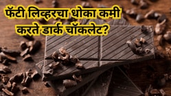 फॅटी लिव्हरचा धोका कमी करते डार्क चॉकलेट! वाचा काय सांगते संशोधन?
