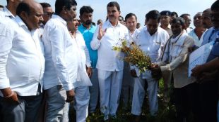 Dattatray Bharne inspects rain affected fields Akola announces timely crop damage compensation Maharashtra farmers