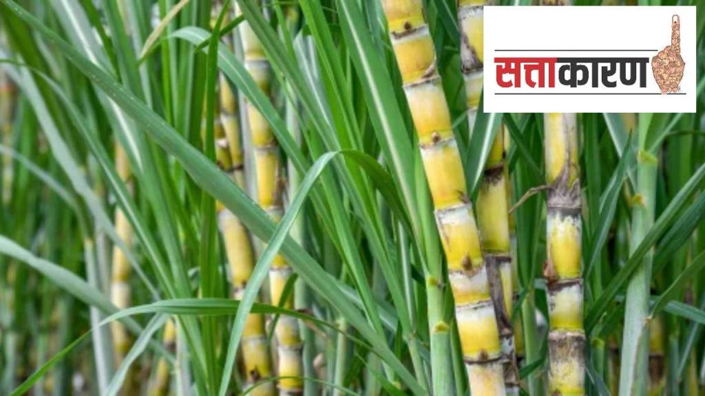 Demand for sugar factories from the State Cooperative Sugar Union