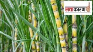 Demand for sugar factories from the State Cooperative Sugar Union