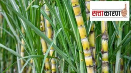 Demand for sugar factories from the State Cooperative Sugar Union