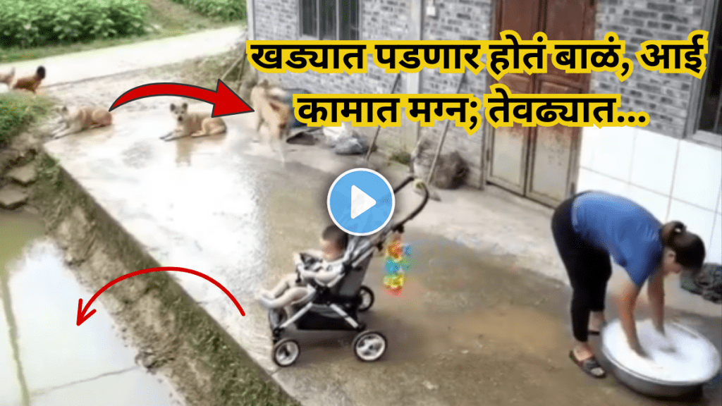 Dog Saves Baby From Falling In Pit Spine-Chilling Video Goes