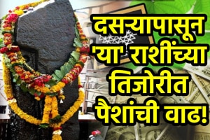 Dussehra 2025 gemini, cancer, Capricorn, aquarius zodiac signs get wealth, money, success, career growth after Shani nakshatra gochar