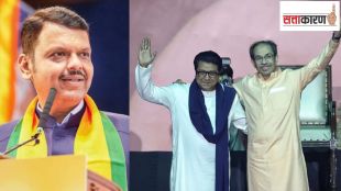 Fadnavis statement about raj uddhav Thackeray