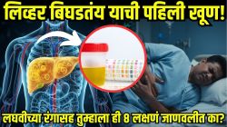 फॅटी लिव्हरची सुरुवातीची लक्षणं तुमचं शरीर सांगतंय; लघवीच्या रंगात बदलासह ‘ही’ ८ लक्षणं वेळेत ओळखलं नाही तर जीव धोक्यात!