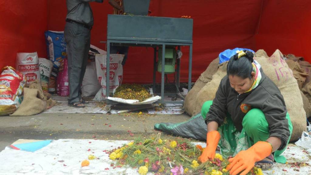 Three hundred kilos of fertilizer produced from nirmalya of Dagdusheth Halwai Ganapati pune print news