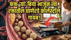‘या’ बिया भाजून खाल्ल्याने तुमच्या रक्तातील घाणेरडे विषारी कोलेस्ट्रॉल झटक्यात पडेल बाहेर; नसा होतील स्वच्छ, रक्ताभिसरण होईल छान