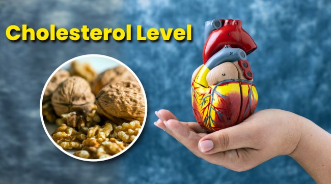 Foods To Lower Cholesterol Naturally