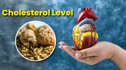 Cholesterol Health: कोलेस्ट्रॉलची पातळी नैसर्गिकरित्या कमी करण्यासाठी खा ‘हे’ पदार्थ