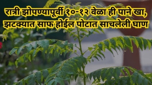 Eat curry leaves 10-12 times before going to bed at night the dirt accumulated in the stomach will be cleared in an instant