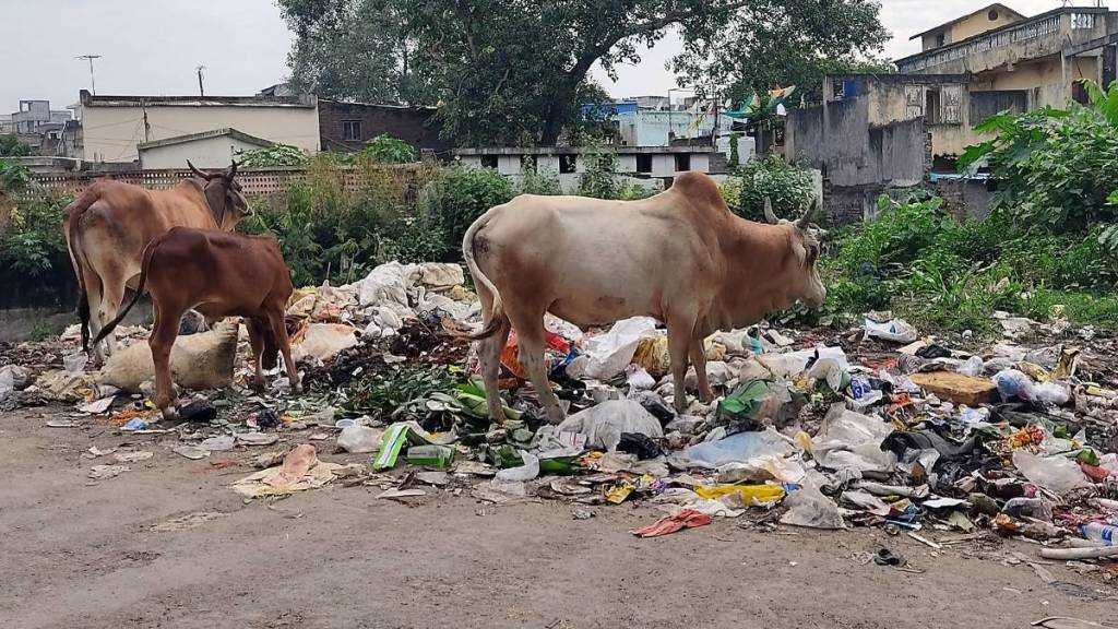 Garbage problem continues in Jalgaon city
