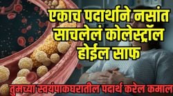 नसांत साचलेलं खराब कोलेस्ट्रॉल एका दिवसात बाहेर पडेल; फक्त स्वयंपाकघरात असणारा ‘हा’ एक पदार्थ खा, रक्त होईल साफ