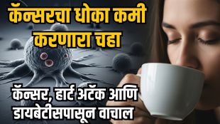 Green tea cancer prevention