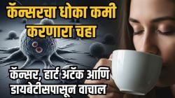 कॅन्सरचा धोका कमी करण्यासाठी दररोज प्या ‘हा’ चहा; हृदयविकार आणि डायबेटीसचा धोका होईल कायमचा कमी