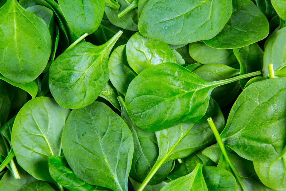 Health Benefits Of Eating Spinach Vegetable