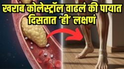वाईट कोलेस्ट्रॉलची चाहूल! खराब कोलेस्ट्रॉल वाढल्यावर चालताना पायांमध्ये दिसतात ‘ही’ ६ लक्षणे, दुर्लक्ष करू नका, नाही तर…