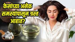 केसांच्या अनेक समस्यांपासून त्रस्त आहात? मग नारळाच्या तेलात फक्त ‘ही’ गोष्ट मिसळा; केस दिसतील सुंदर घनदाट