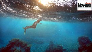 India gets licence to scour new part of Indian Ocean for precious metals