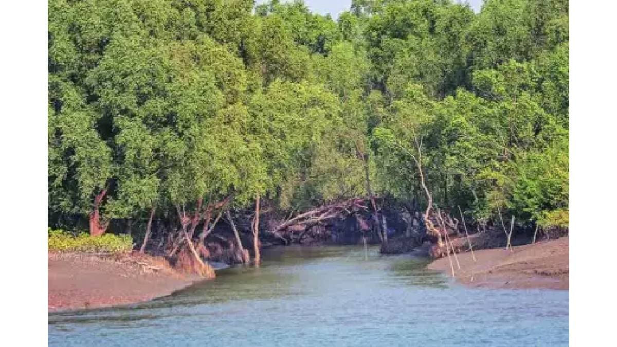 कांदळवन क्षेत्राला पर्यटन केंद्र करणार – वनमंत्री गणेश नाईक