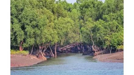 Information about Forest Minister Ganesh Naik in Navi Mumbai