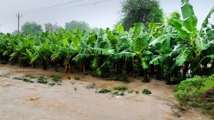 Jalgaon Floods Damage Crops