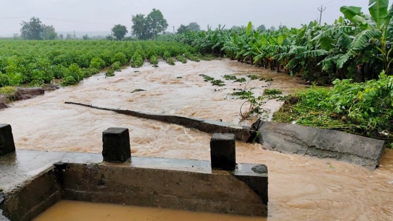 पुराच्या पाण्यात एका शेतकऱ्यासह २०० जनावरे, ट्रॅक्टर वाहून गेले… ४३२७ हेक्टरवरील पिकांचे नुकसान…
