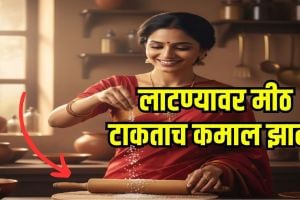 Salt purity test at home