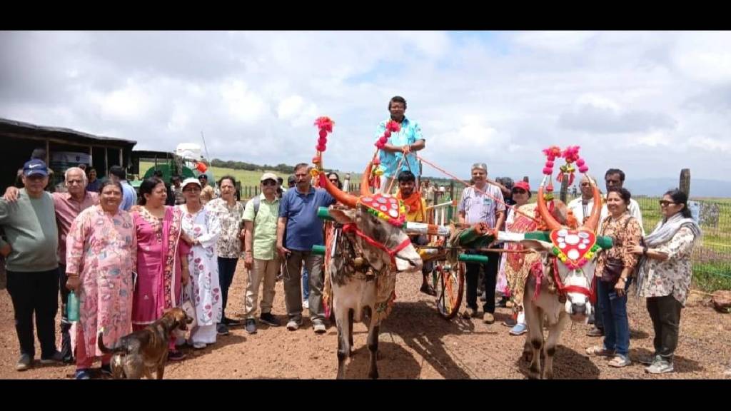 Nature and flowers on the Kaas plateau can now be seen from a bullock cart safari