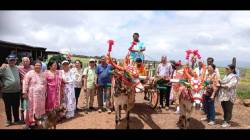 Kaas Plateau Tourism: कास पठारावरील निसर्ग, फुलांचे आता बैलगाडीतून दर्शन ! निसर्ग पर्यटनाला ग्रामीण संस्कृतीची जोड