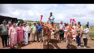 Nature and flowers on the Kaas plateau can now be seen from a bullock cart safari