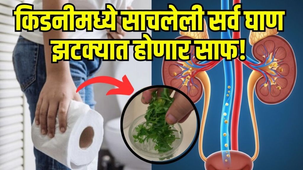 Kidney Cleaning Drink Recipe