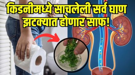 Kidney Cleaning Drink Recipe