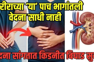 Early signs of kidney disease